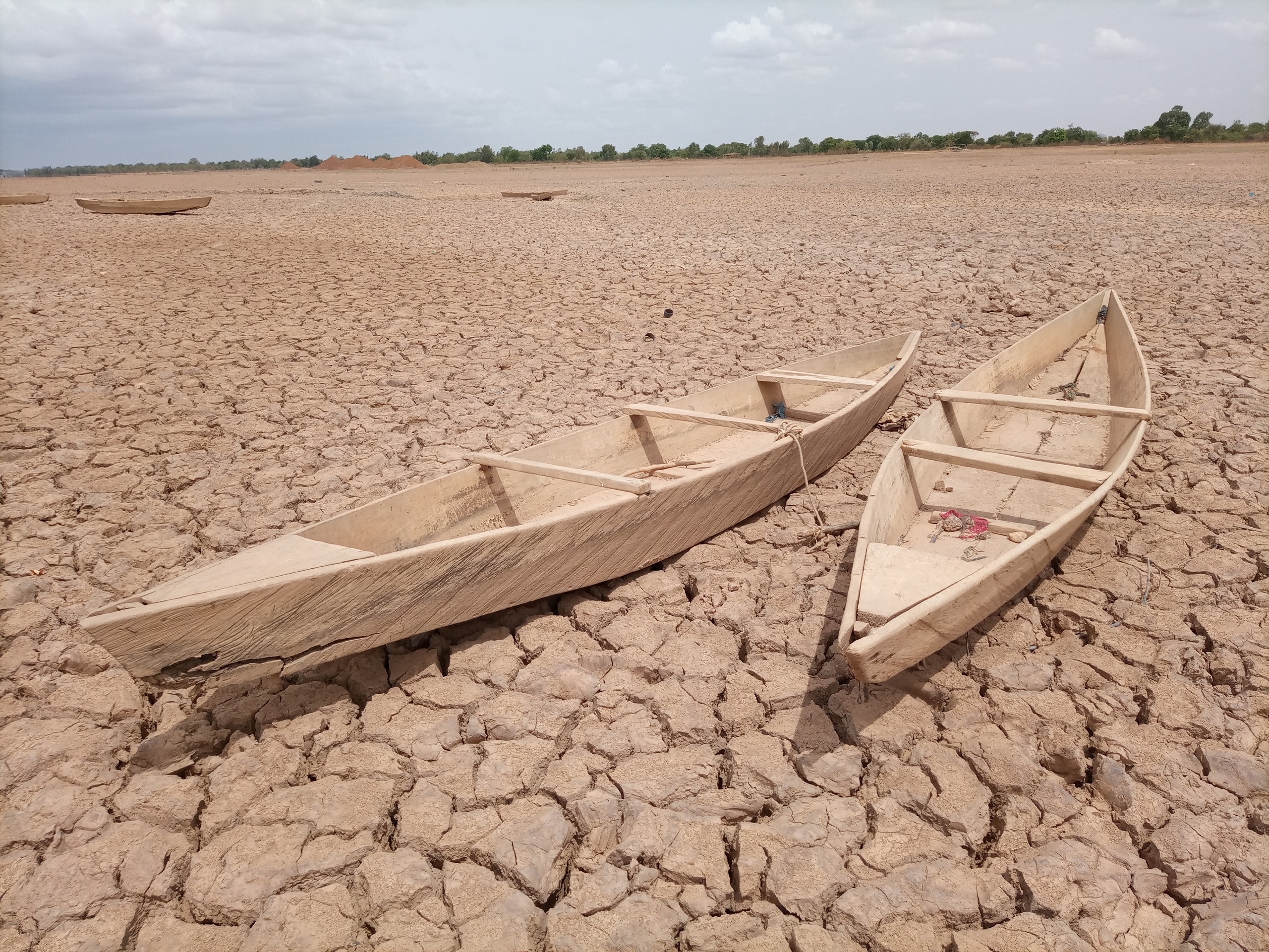 Read more about the article Погода и глобальное потепление: причины засухи
